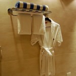 Thunderbird Resort at Poro Point (38)