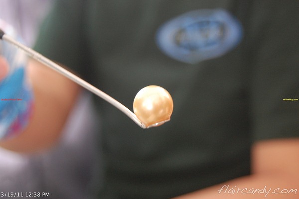golden south sea pearl farms golden south sea pearl farms