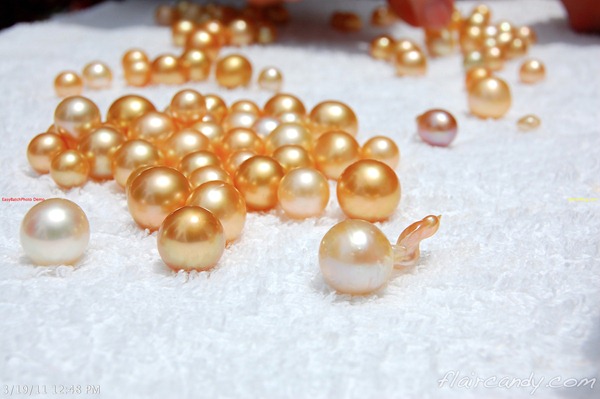 Palawan-South-Sea-Golden-Pearl-Farm-Gold-Pearls-Jewelmer-Oyster-Jewel-235.jpg