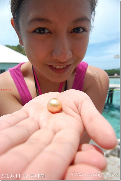 Palawan-South-Sea-Golden-Pearl-Farm-Gold-Pearls-Jewelmer-Oyster-Jewel-238_thumb.jpg