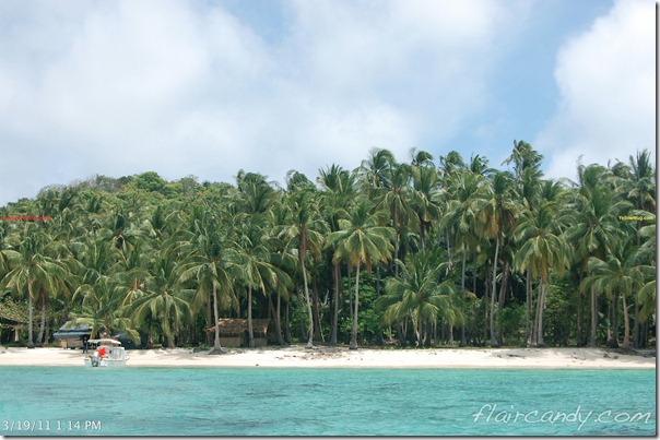 palawan pearl farms golden pearl palawan pearl farms golden pearl