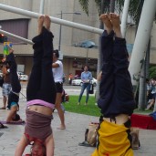yoga enthusiasts with their poses