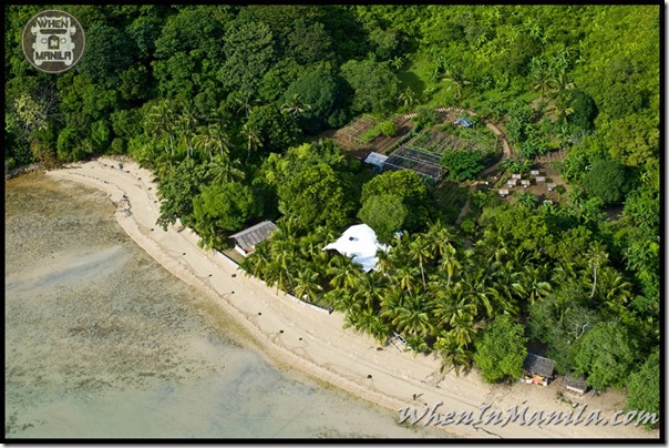 Save Palawan Seas Foundation spsf project 7000 seven thousand when in manila 13 Save Palawan Seas Foundation spsf project 7000 seven thousand when in manila 13