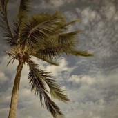 Kodak Easyshare M22 2