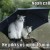 funny-pictures-cats-umbrella-rain-flood