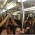 mrt-hell_thumb.jpg
