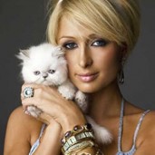 paris-hilton-cat