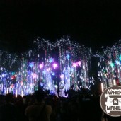 The magical spectacle that entertains audience from babies to elderly