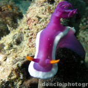 when-in-manila-learn-scuba-diving
