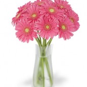 valentines_day_flower_delivery_big_19
