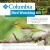 columbia bird watching 101 Birding: More Fun in the Philippines – Birdwatching Basics / Birdwatching in Villa Escudero with the Wild Bird Club