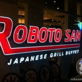 roboto-san-17