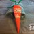 Carrot Carrot