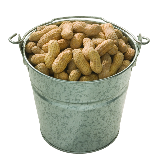 Texas Roadhouse Say Hello to Bistro Group's New Restaurant Concept