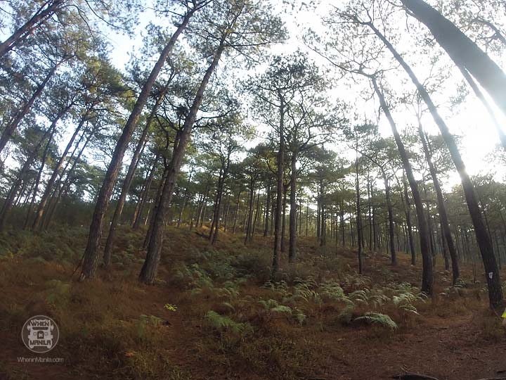 DCIM104GOPRO