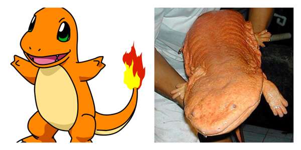 life size charmander
