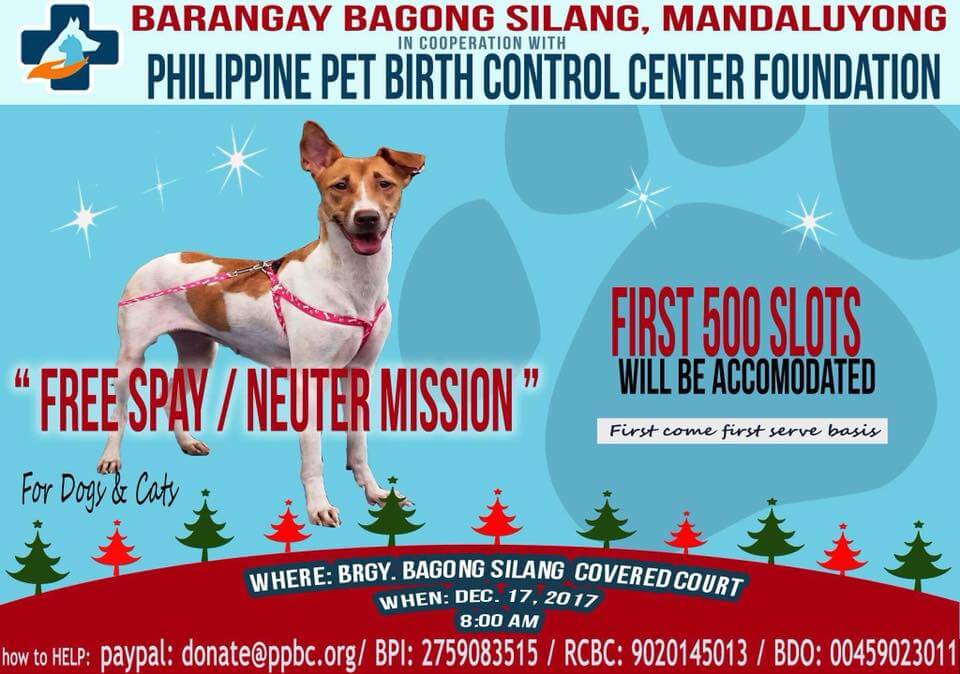 LOOK This Vet Clinic is Offering FREE Spay/Neuter on Sunday! When In