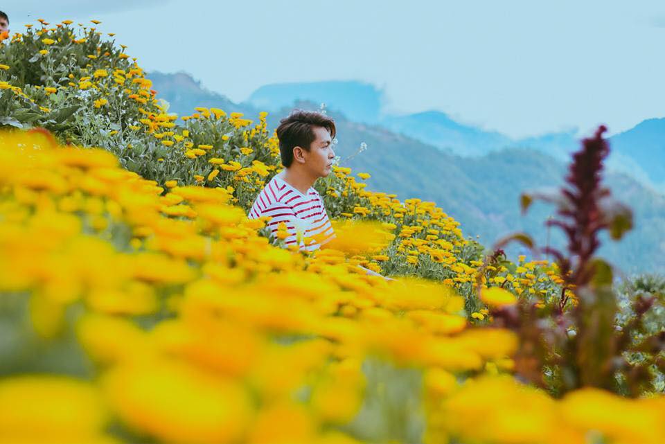 LOOK: Get to fulfill your flower field dreams in Benguet! | When In Manila