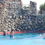 Club Manila East Surfing Surf Water Park Philippines 40