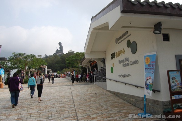 cable car 360 glass bottom crystal cabin hong kong ngong ping wheninmanila 42