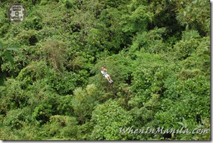 Bohol-Danao-Adventure-Park-Zipline-Zip-Line-Bungee-Jump-Plunge 153