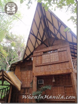 Golden-Pearl-Jewelmer-Philippines-National-Gem-South-Sea-Pearls 024_thumb[1]