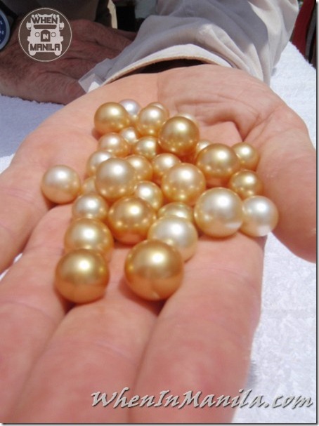 Golden Pearl Jewelmer Philippines National Gem South Sea Pearls 188 thumb
