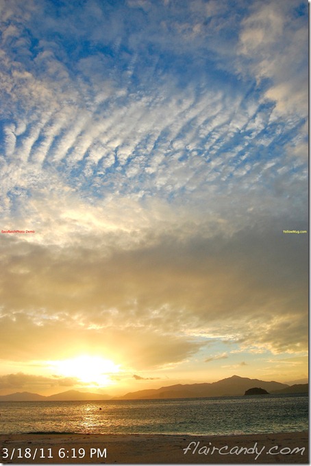 Palawan-South-Sea-Golden-Pearl-Farm-Gold-Pearls-Jewelmer-Oyster-Jewel (131)