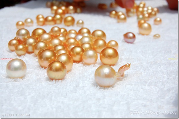 Palawan-South-Sea-Golden-Pearl-Farm-Gold-Pearls-Jewelmer-Oyster-Jewel (235)