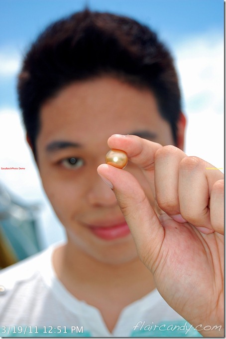 Palawan-South-Sea-Golden-Pearl-Farm-Gold-Pearls-Jewelmer-Oyster-Jewel (244)