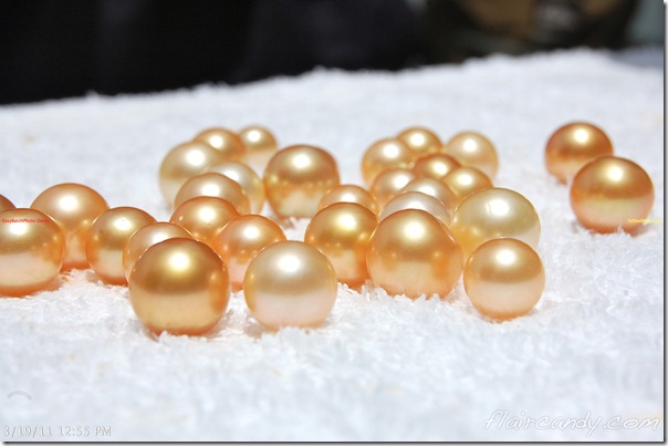 Palawan-South-Sea-Golden-Pearl-Farm-Gold-Pearls-Jewelmer-Oyster-Jewel (253)