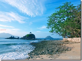 Palawan-South-Sea-Golden-Pearl-Farm-Gold-Pearls-Jewelmer-Oyster-Jewel (268)