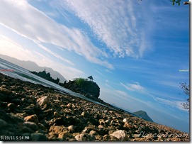 Palawan-South-Sea-Golden-Pearl-Farm-Gold-Pearls-Jewelmer-Oyster-Jewel (269)