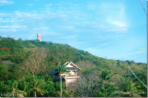 Palawan-South-Sea-Golden-Pearl-Farm-Gold-Pearls-Jewelmer-Oyster-Jewel (285)