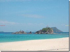 Palawan-South-Sea-Golden-Pearl-Farm-Gold-Pearls-Jewelmer-Oyster-Jewel (362)