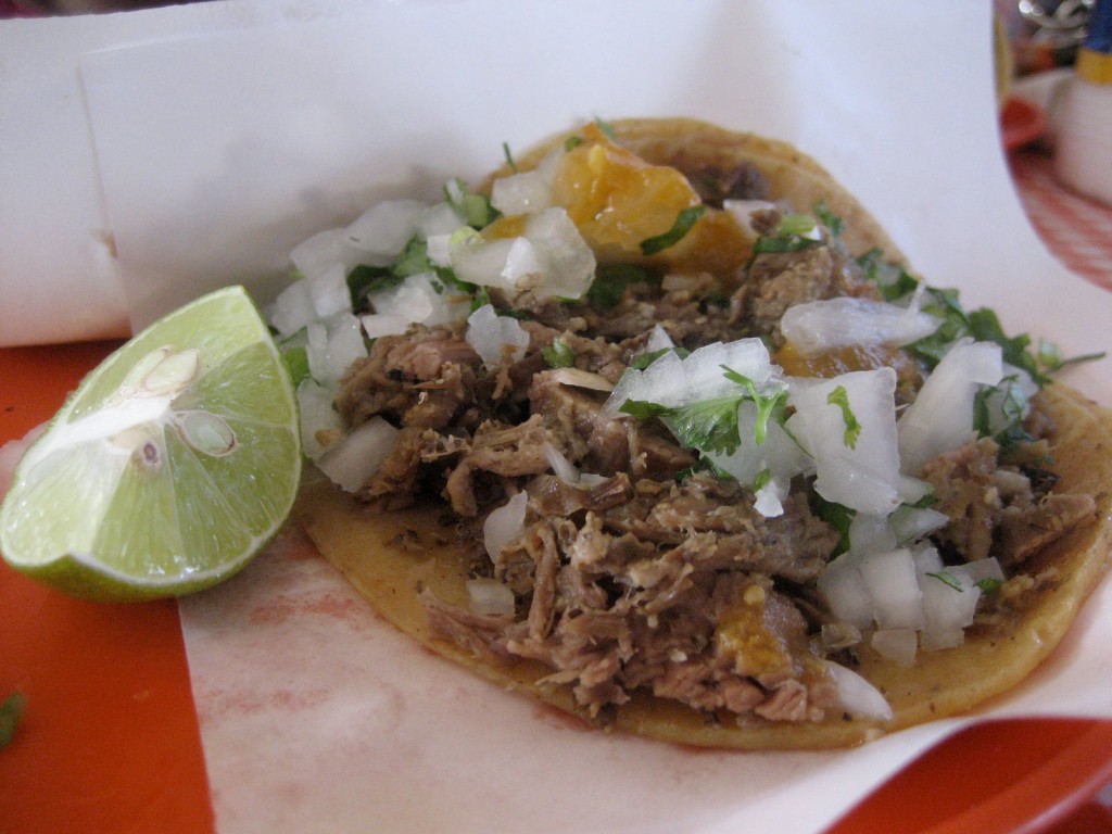 290311 944448051617 24613644 44391105 3561215 o