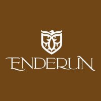 enderun enderun