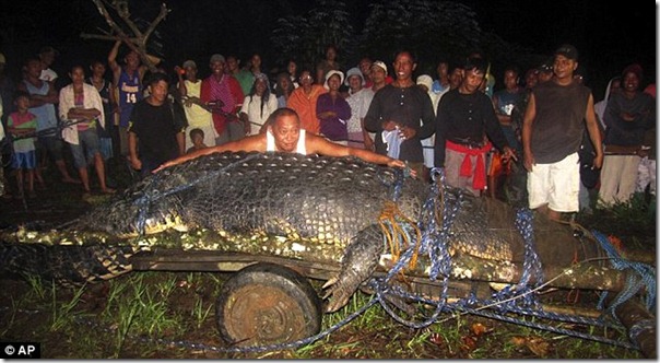 worlds-biggest-croc-crocodile-aligator-caught-philippines-agusan-reptile-big-largest-huge-pic-picture-video