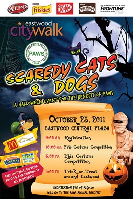 SCD 2011 Email Poster