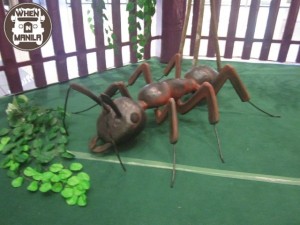 IMG_0992 IMG 0992