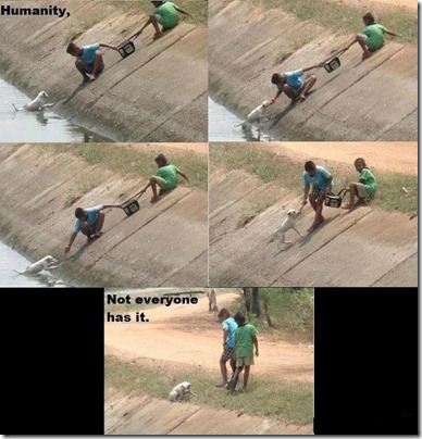 Faith in Humanity RESTORED 2