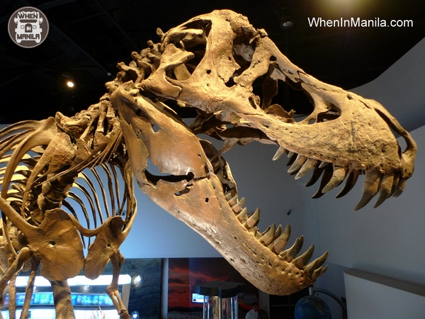 trex the mind museum taguig when in manila