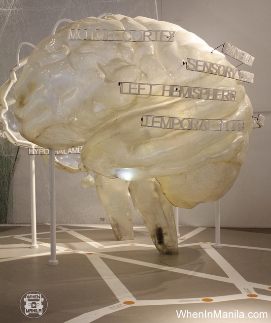 giant human brain mind museum when in manila