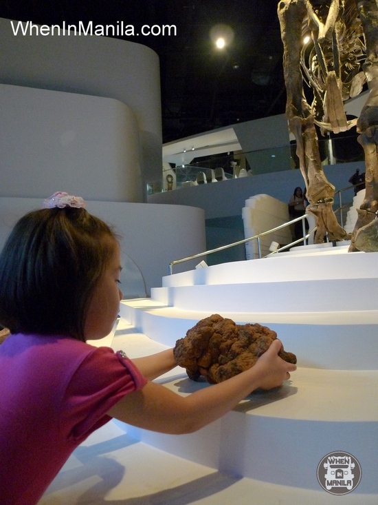 girl touching coprolite fossilized dinosaur poop mind museum when in manila