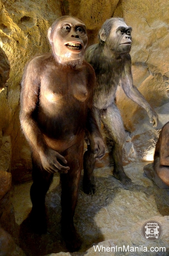 hominid mind museum when in manila