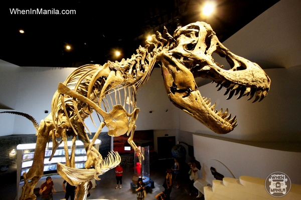 stan trex fossil mind museum taguig when in manila 2