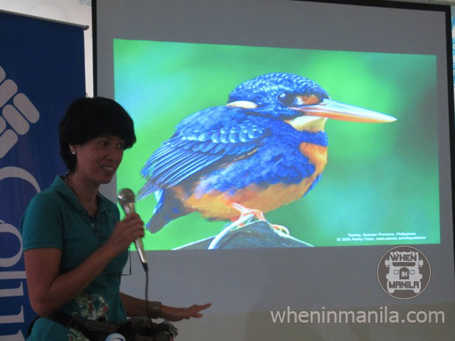 Birding: More Fun in the Philippines - Birdwatching Basics / Birdwatching in Villa Escudero with the Wild Bird Club