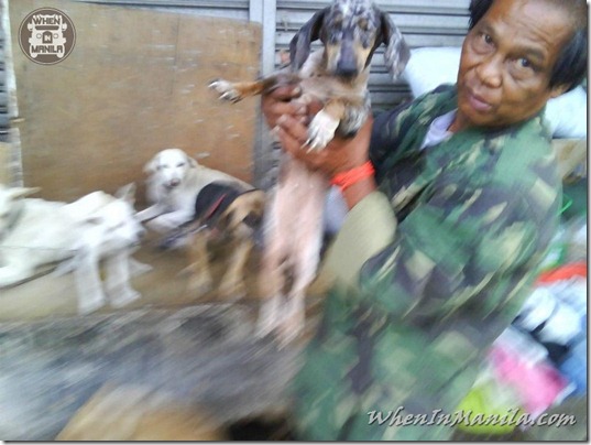 Mang-Rudy-Project-animal-Lover-Homeless-Man-Adopts-Dogs-Stray-Cats-WhenInManila-Manila-Philippines-2