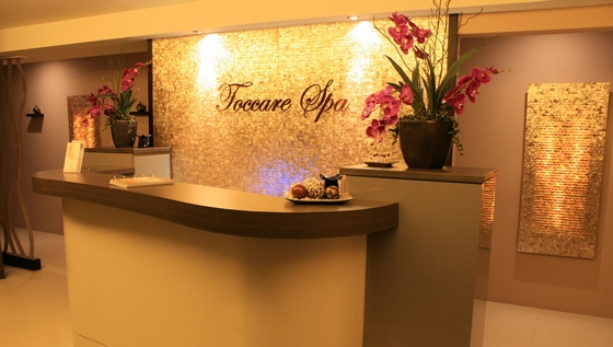 toccare spa antel makati when in manila 261