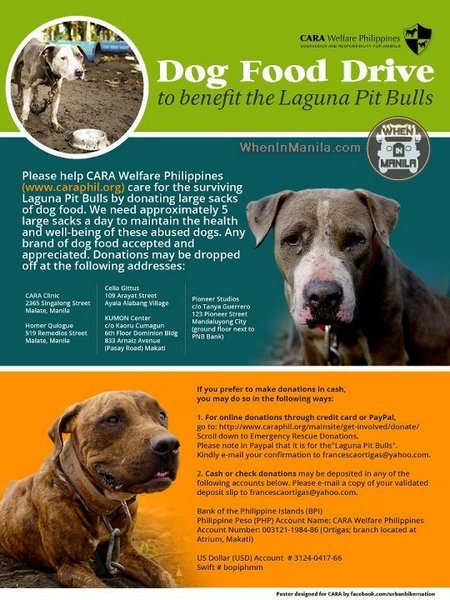 Compassion and Responsibility for Animals (CARA) - Save the Laguna Pitbulls